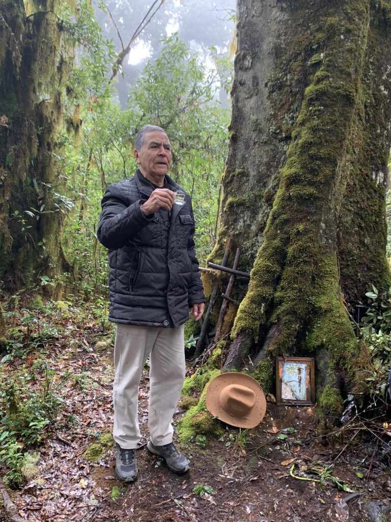 guia local mixe ayuuk ofrenda de mezcal bosque sagrado zempoaltepetl sierra mixe