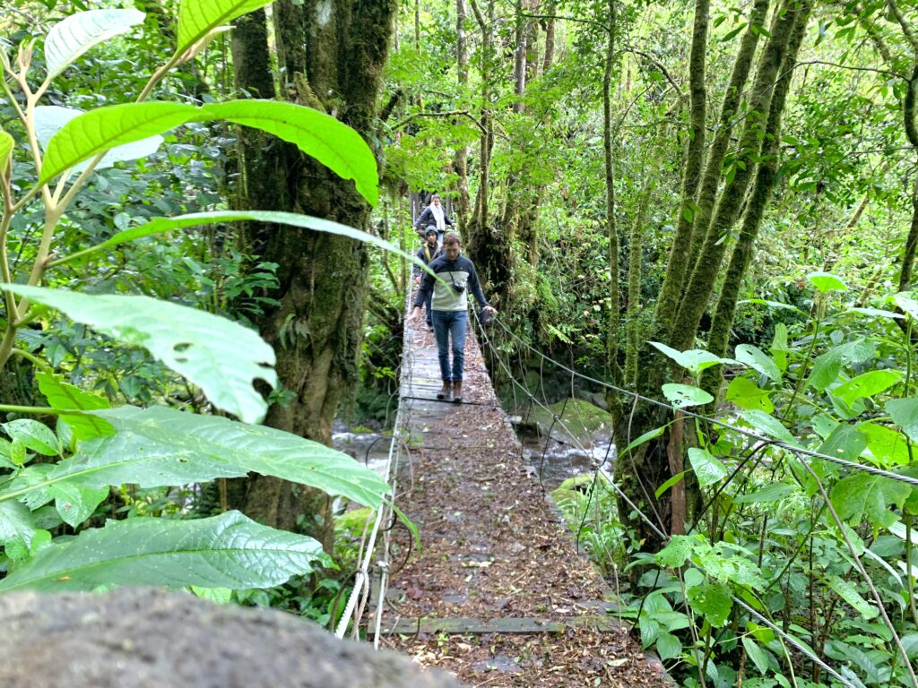 Experiencia 2 días visitantes atravezando puente colgante en tour de cultura y naturaleza en la sierra mixe de oaxaca