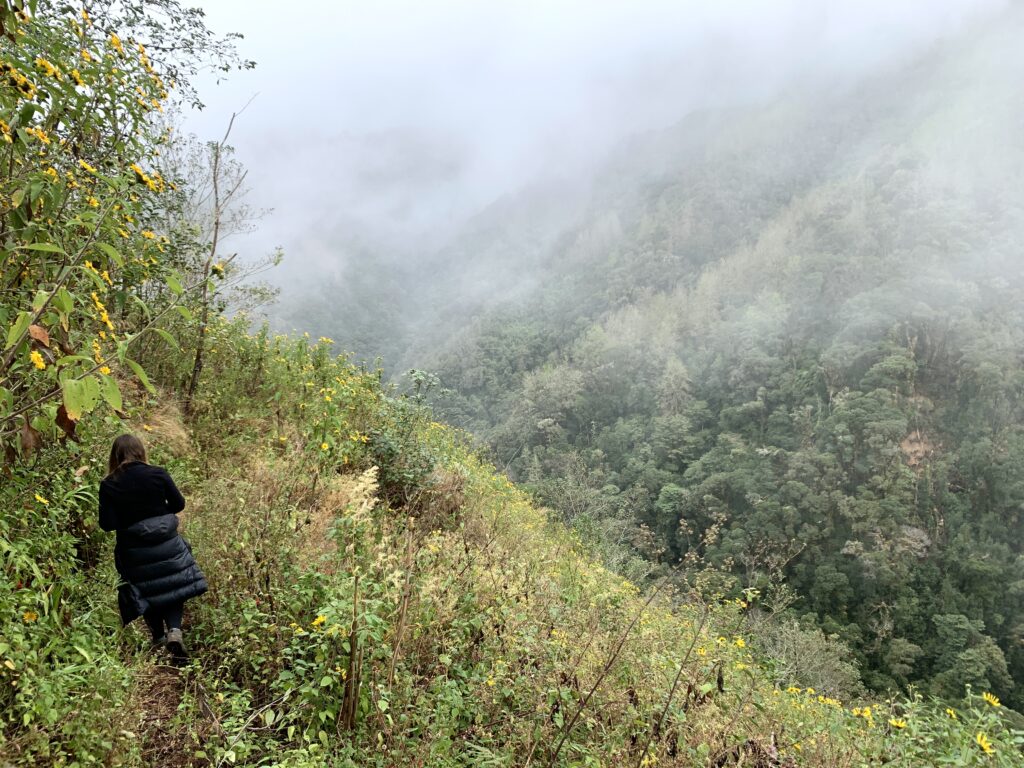 Experiencia 2 días fotografa admirando bosque de nubes en la sierra mixe de oaxaca