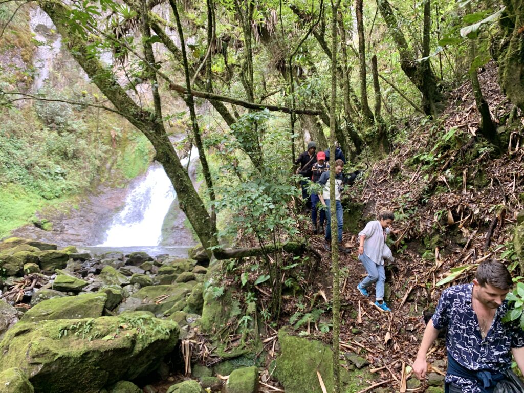 Experiencia 2 días turistas en el sendero interpretativo de santa maria huitepec sierra mixe