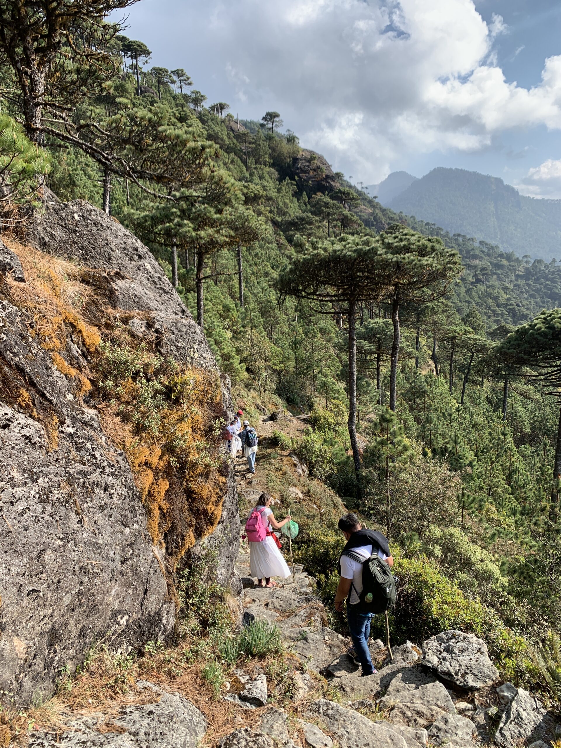 sanadoras haciendo limpia energetica en caminata a montana sagrada zempoaltepetl sierra mixe oaxaca