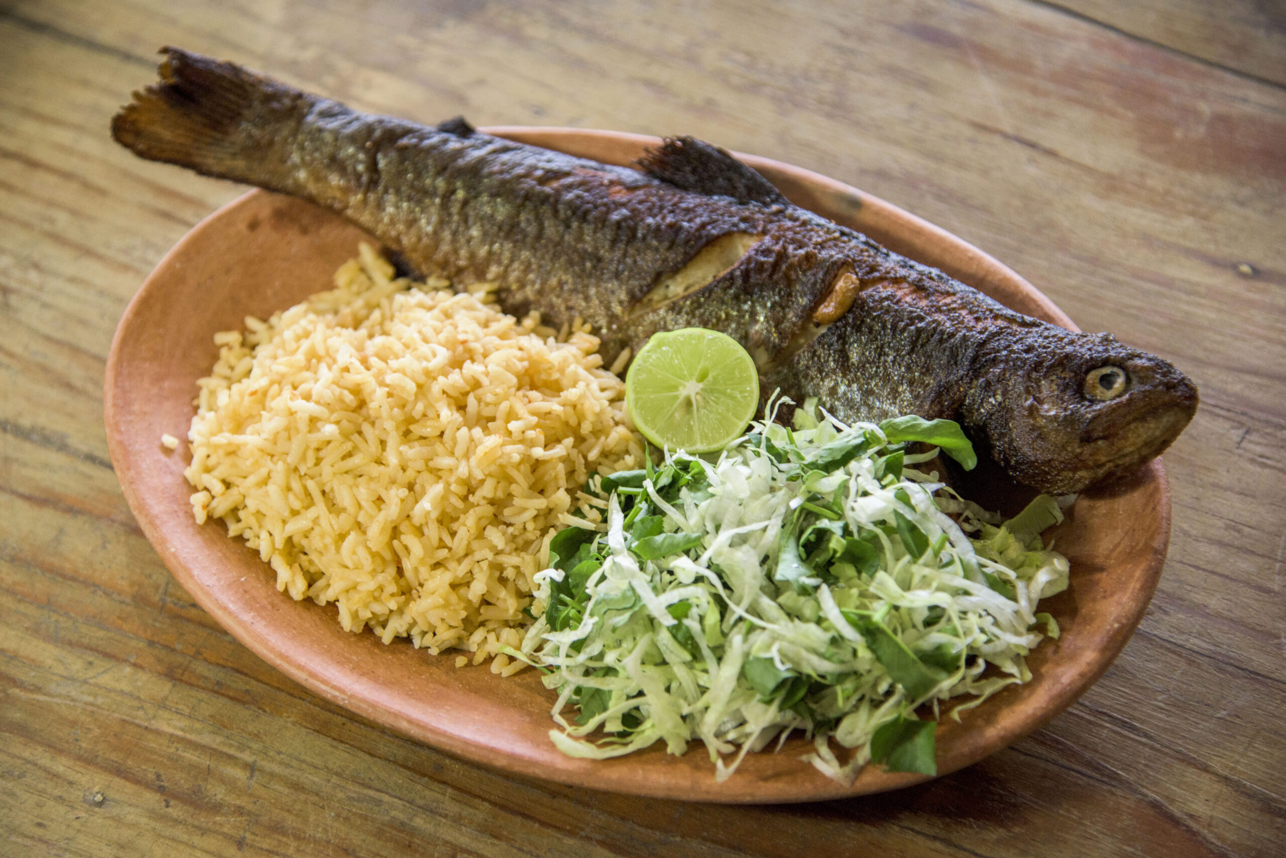 Experiencia 2 días platillo tradicional de trucha fresca en granja familiar en la sierra mixe oaxaca